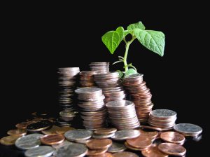 Environmental Economics